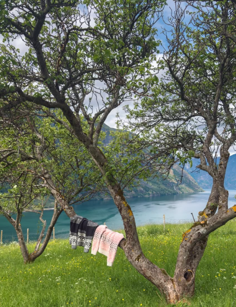 Torridal og Highland genser hengende på et tre med norsk sommer natur i bakgrunn