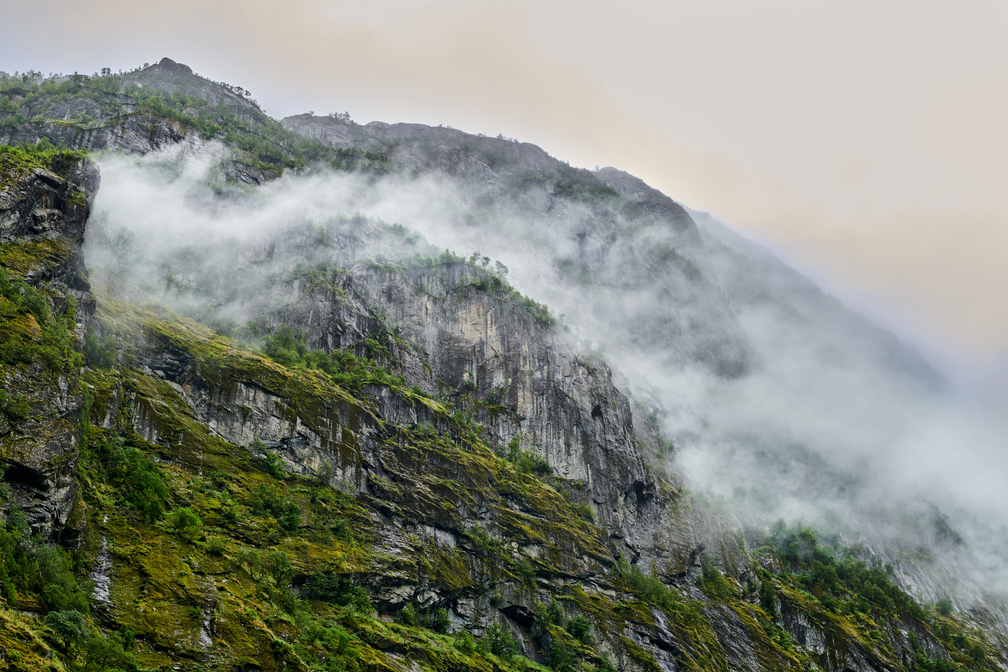 Våtedalen inspiration picture Dale of Norway